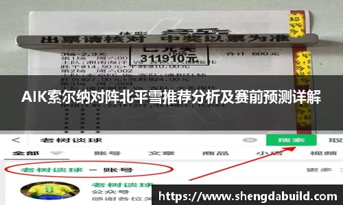 AIK索尔纳对阵北平雪推荐分析及赛前预测详解
